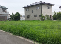 中丸C号地(伏沼コミュニティー近く)