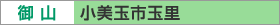 Riʎsʗj