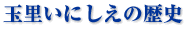 ʗɂ̗j