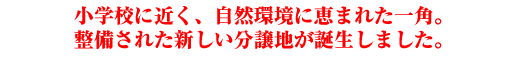 wZɋ߂ARɌb܂ꂽpBꂽVna܂B