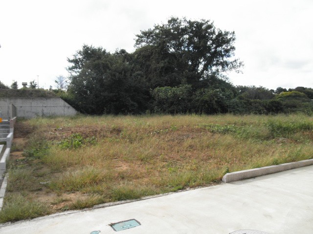 ��R�e���n