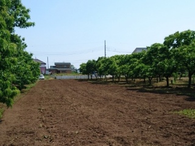 	�H���e�R�@�`