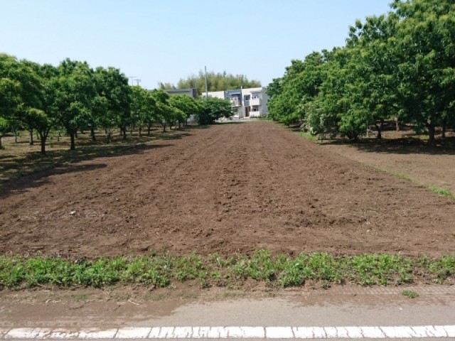 �H���e�R�@B