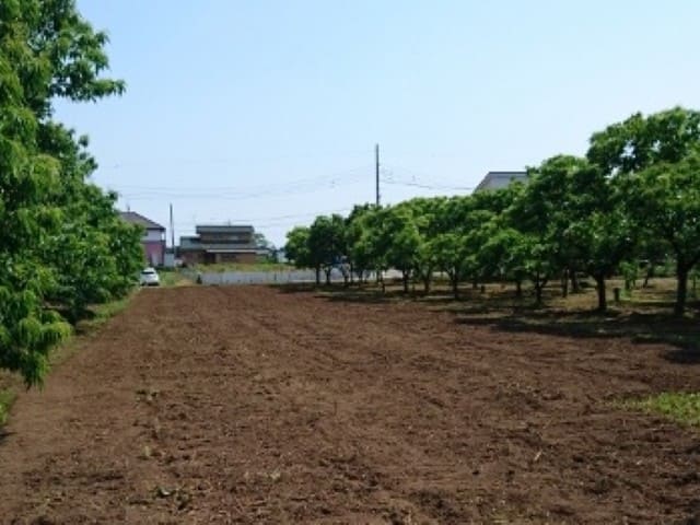 �H���e�R�@�`���n