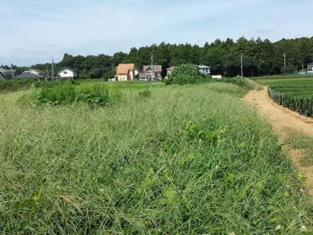 �Ђ΂�ۈ牀�O